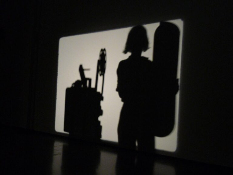 ‘Cinema sense cinema’ amb Érik Bullot