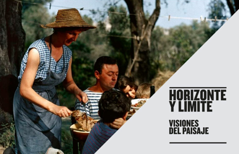 Comida en la hierba