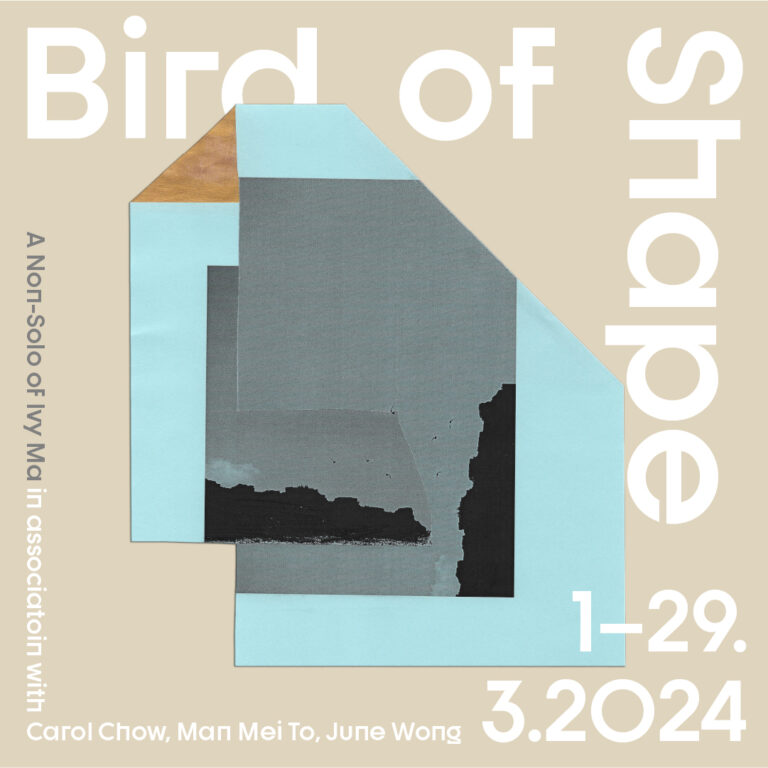 Bird of Shape