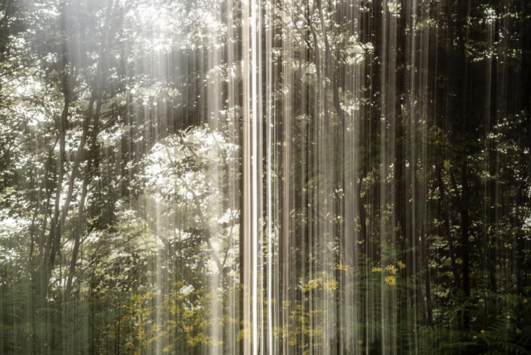 How we see the world. Barry Salzman