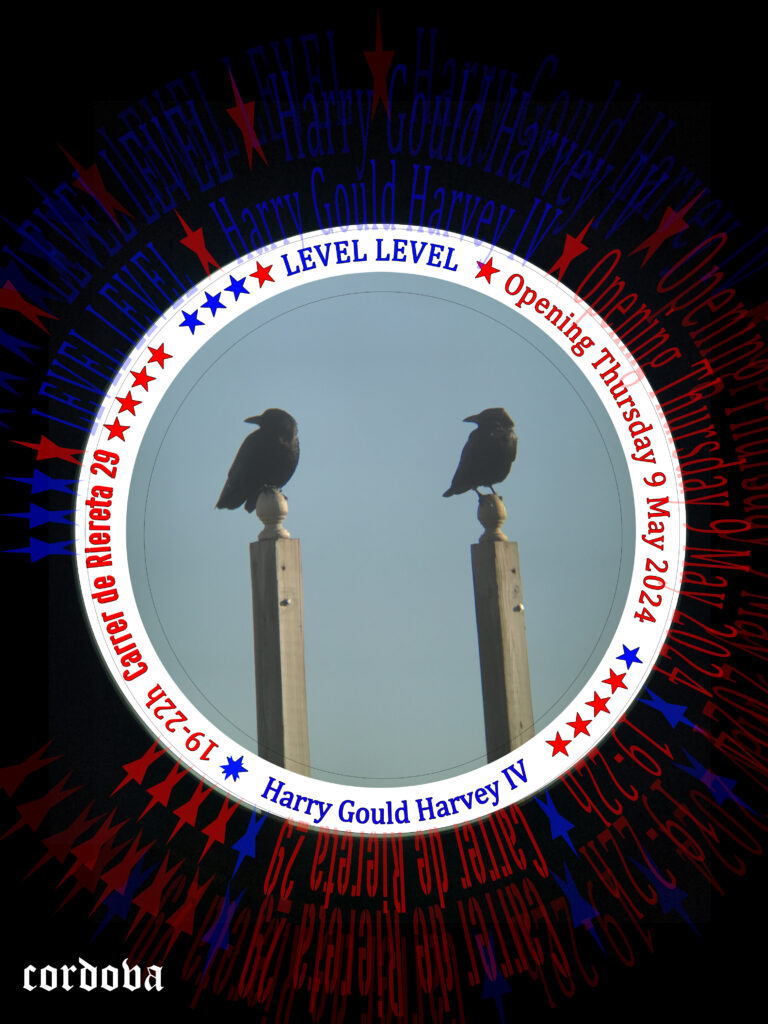 INAUGURACIÓ. Harry Gould Harvey IV: LEVEL LEVEL