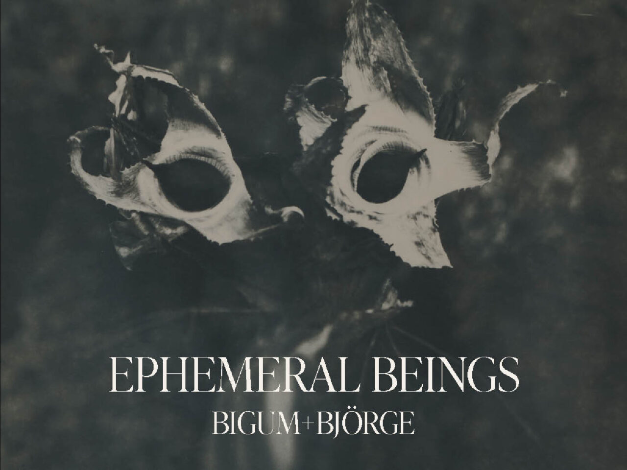 Inaugurem “Ephemeral Beings” de Bigum+Björge – aquest divendres 7 de juny