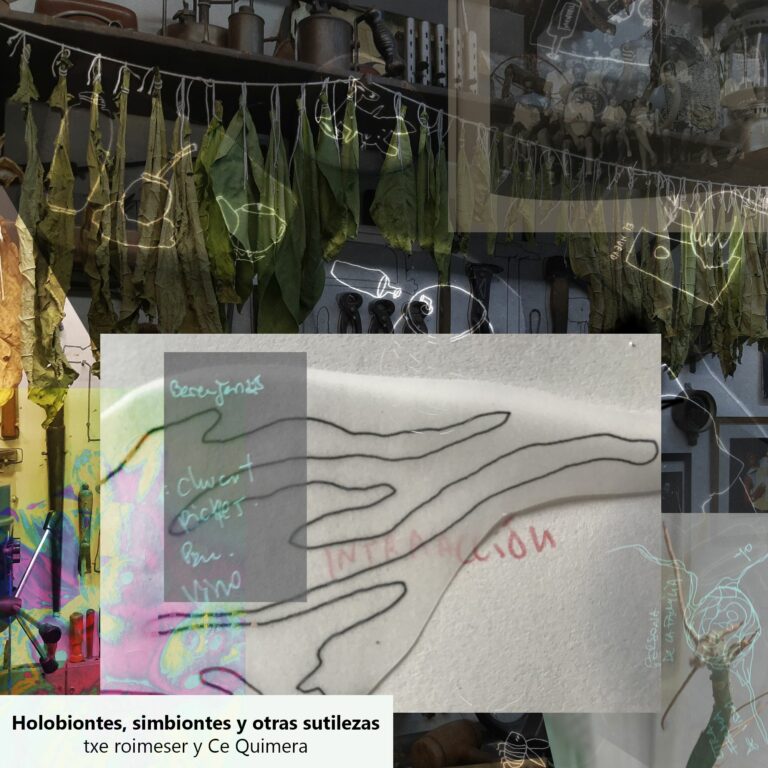 Holobionts, simbionts i altres subtileses