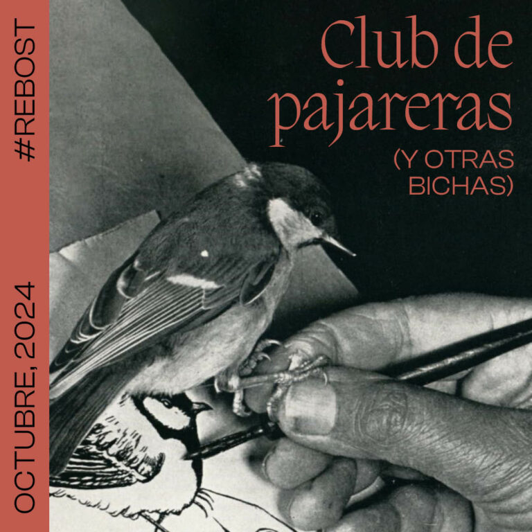 club d’ocellaires (i altres bestioles)