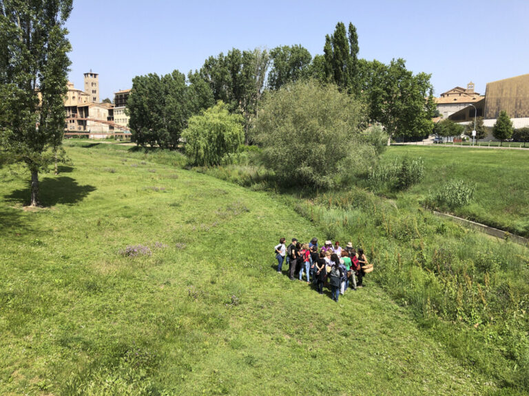 MAPEJANT EL RIU
