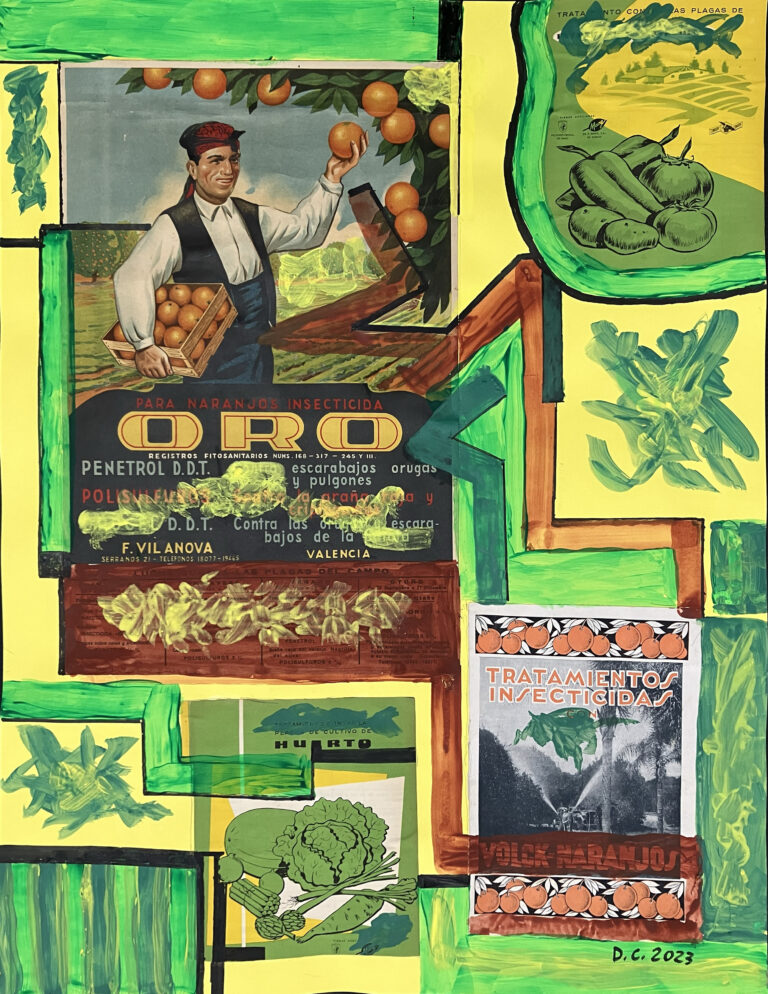 Ecocidios. Dionisio Cañas