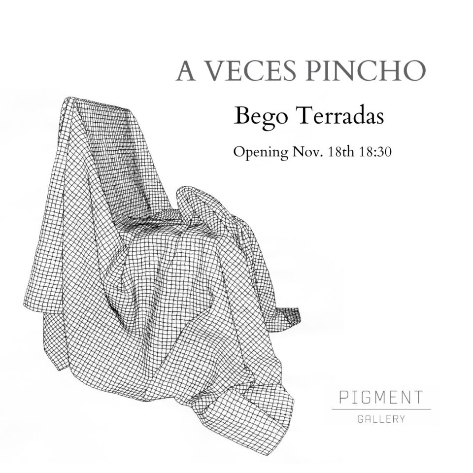 A veces pincho. Bego Terradas