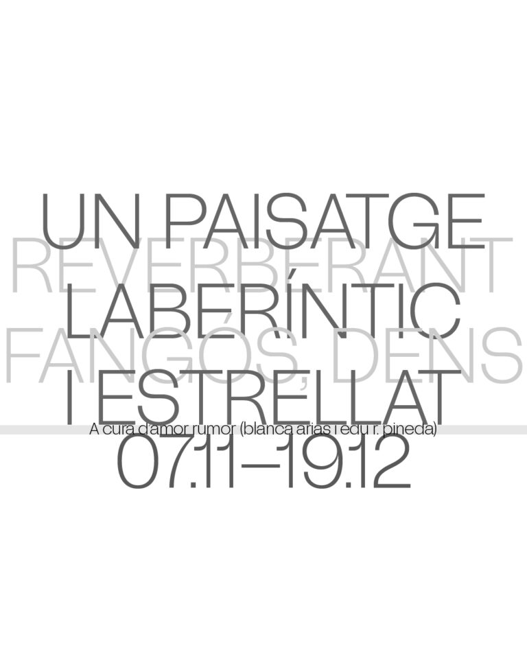«un paisatge reverberant, laberíntic, fangós, dens i estrellat» a cura d’amor rumor