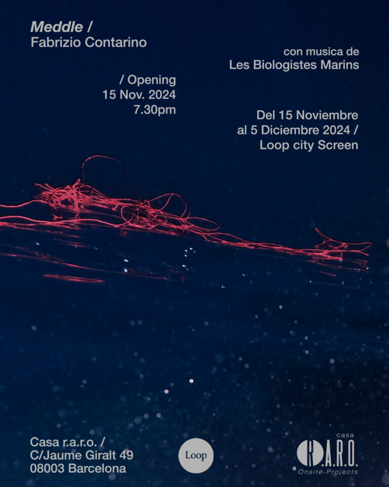 Meddle, Fabrizio Contarino – Loop City Screen