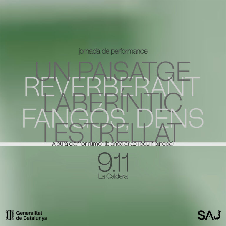 jornada de performance «un paisatge reverberant, laberíntic, fangós, dens i estrellat» a cura d’amor rumor