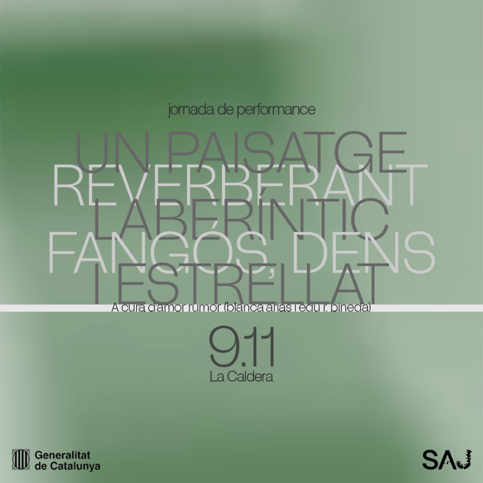 performances «un paisatge reverberant, laberíntic, fangós, dens i estrellat» a cura d’amor rumor 