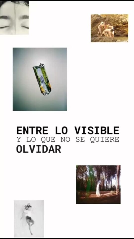 Entre lo visible y lo que no se quiere olvidar.