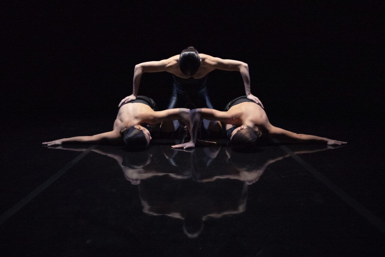 Feedback, muestra en diálogo público + artistas residentes: Cia. Silvia Batet y Monocrom