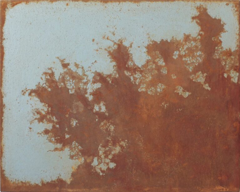 Huellas del paraíso. Manuel Velasco