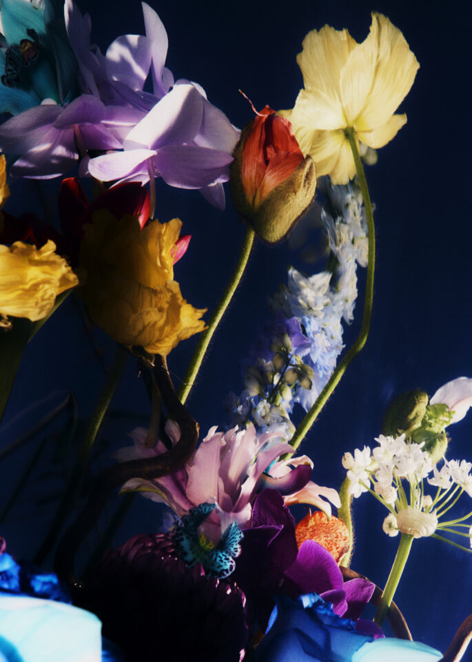 Send me Flowers. Laia Benavides