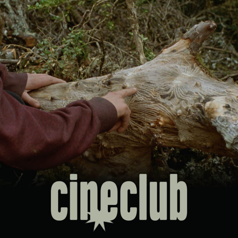 cineclub