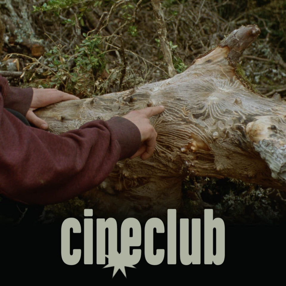cineclub