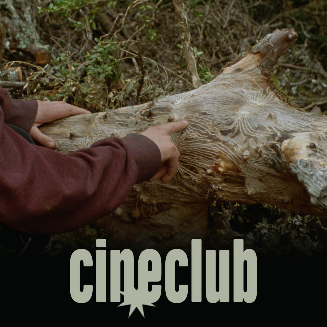 cineclub