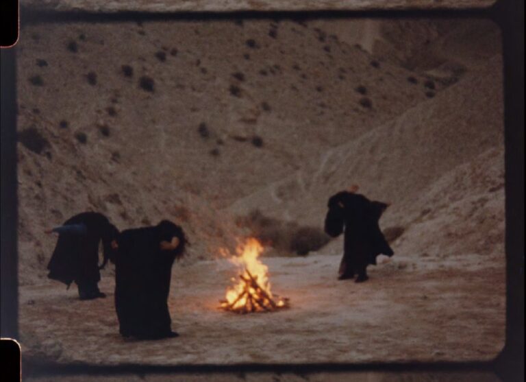 Noor Abed. A Night We Held Between
