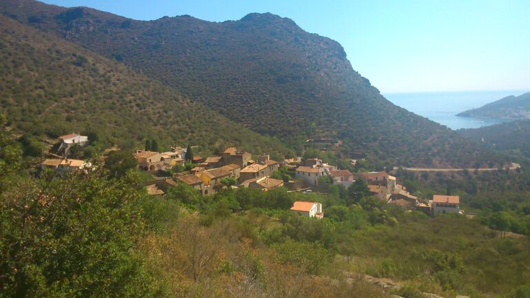Portes obertes: ARBAR Associació per la Recerca Biocultural i Artística de Rodes