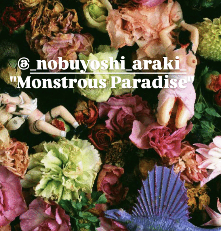 Monstruous paradise. Araki