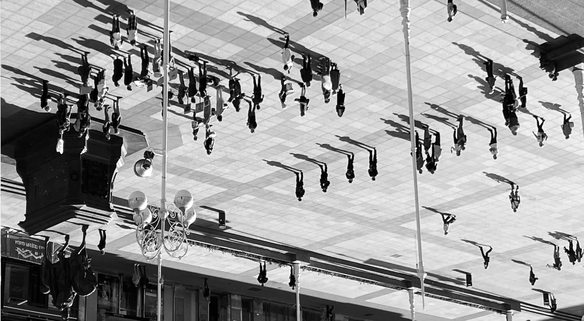 NOSYMMETRIES / 2025-26