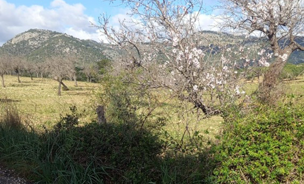Dijous de veu i paraula / Fervor tan fosc i Teoria poètica de la pell de gallinada