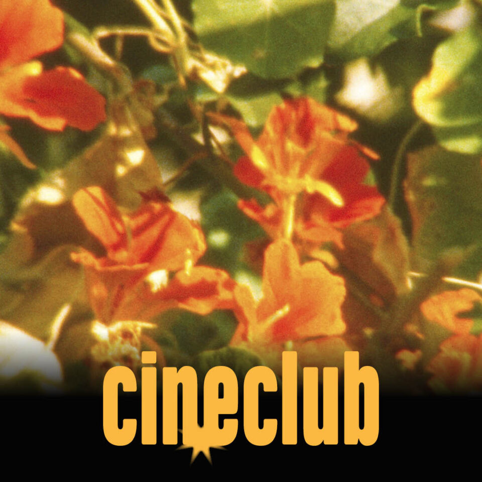 cineclub