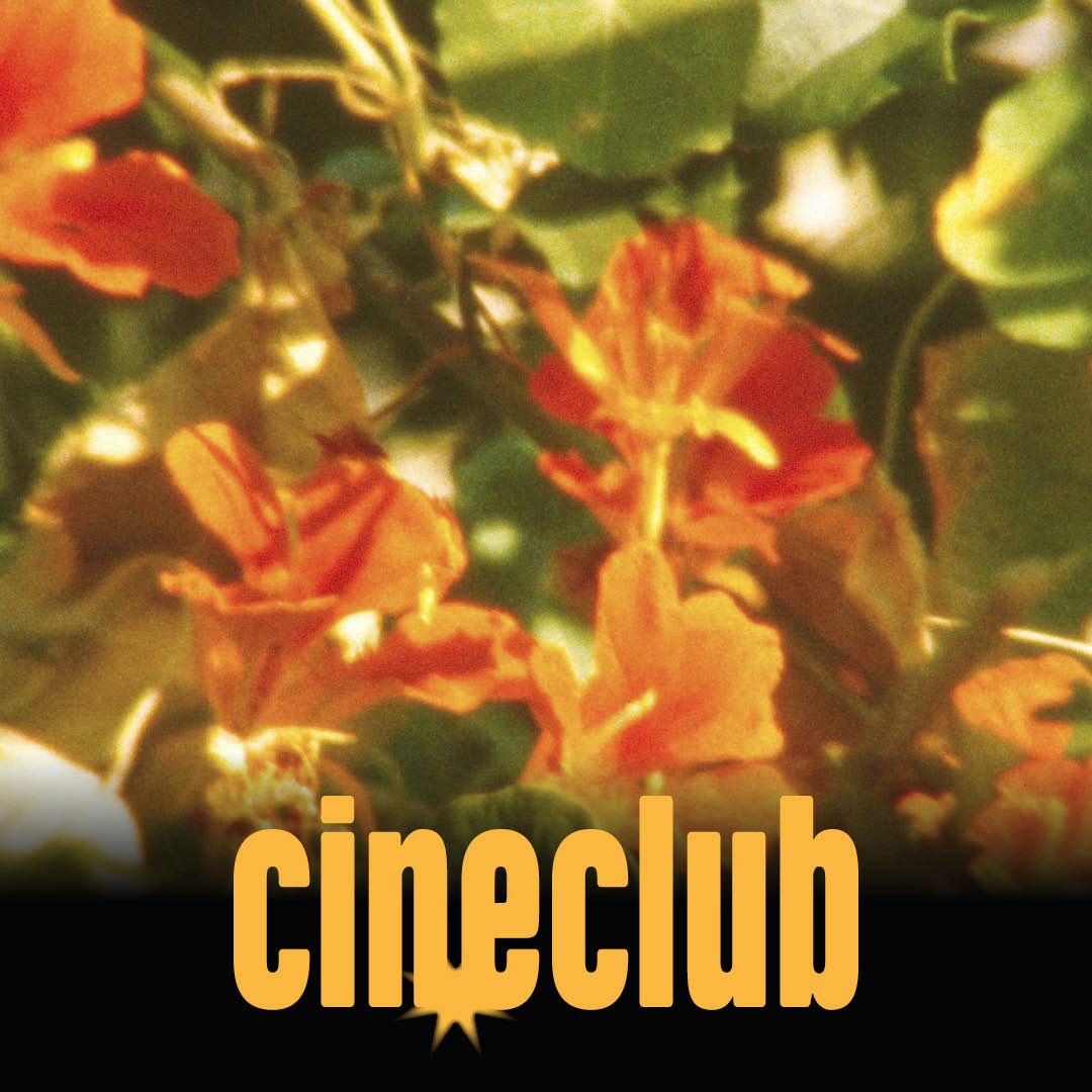 cineclub