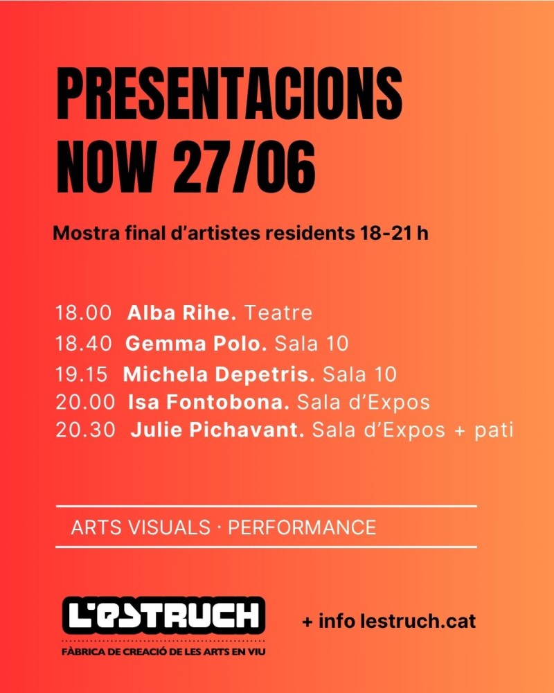 Presentacions NOW 27/06 Arts visuals i performance