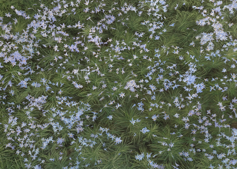 Territoris de l’Invisible. Sol Namgung, Seungjoo Lee