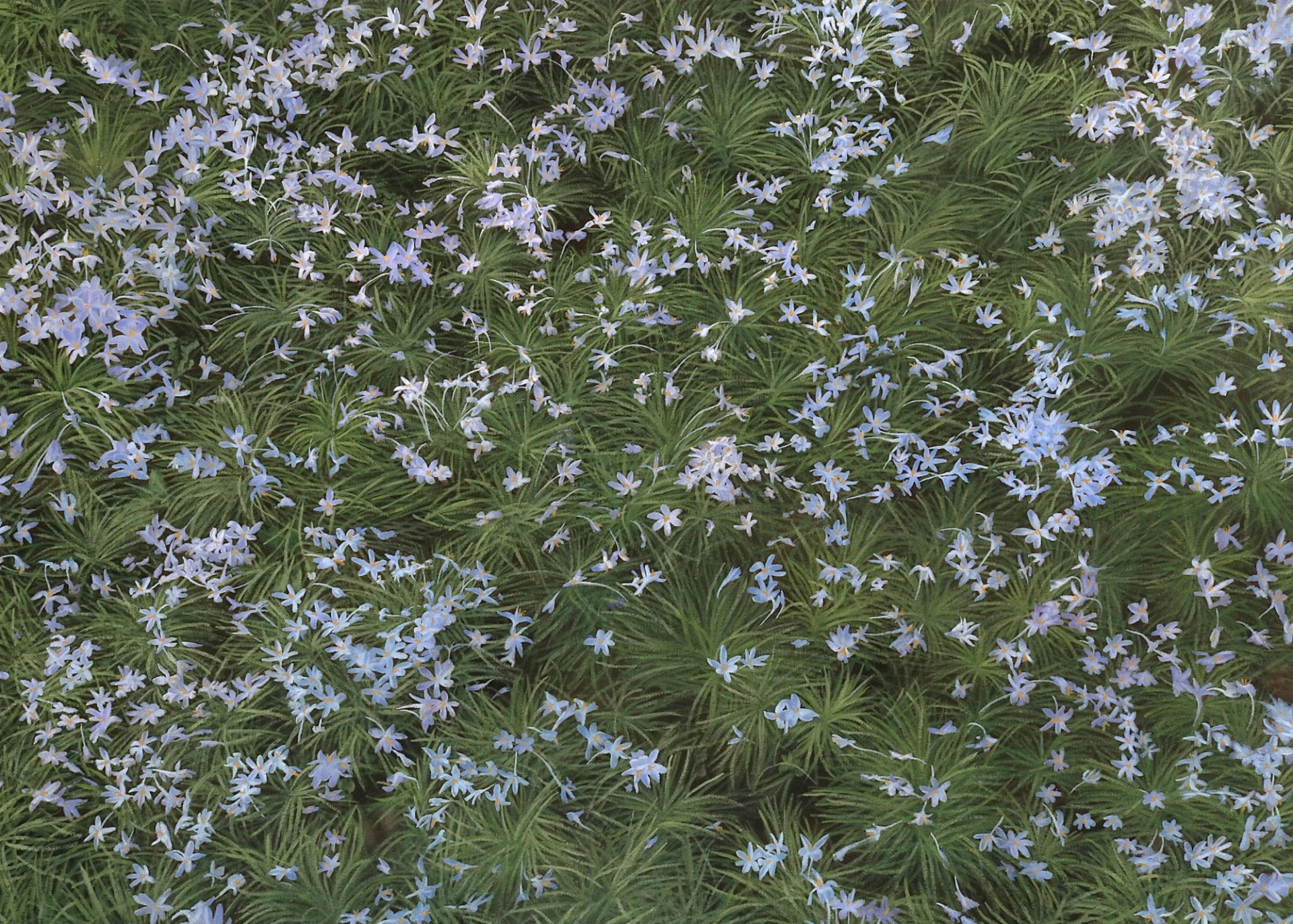 Territoris de l’Invisible. Sol Namgung, Seungjoo Lee