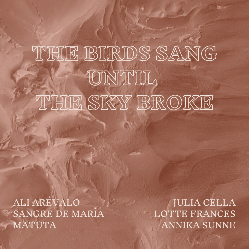 The Birds Sang Until the Sky Broke