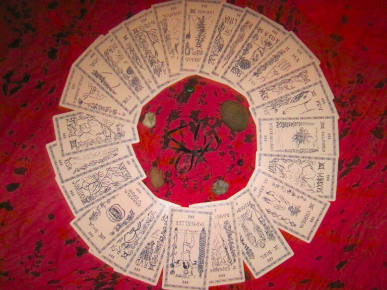 Tarot florilegi de terres i cossos. Performance d’Equipo Jeleton