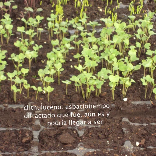 semillero del chthuluceno