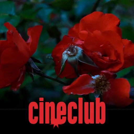 cineclub