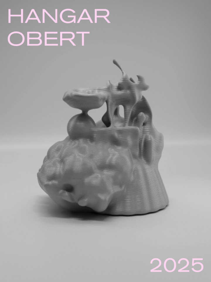 Hangar Obert 2025
