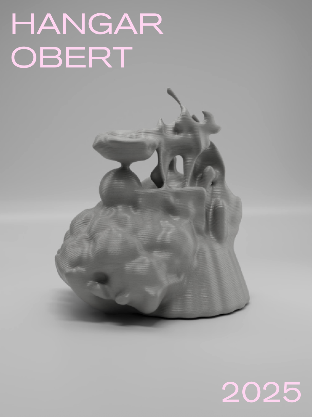 Hangar Obert 2025