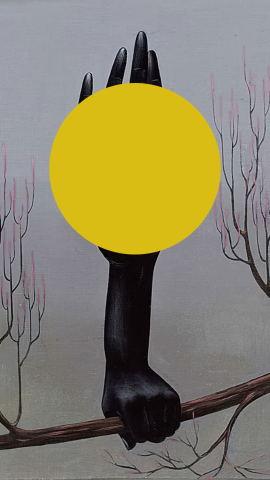 Cicle d’activitats