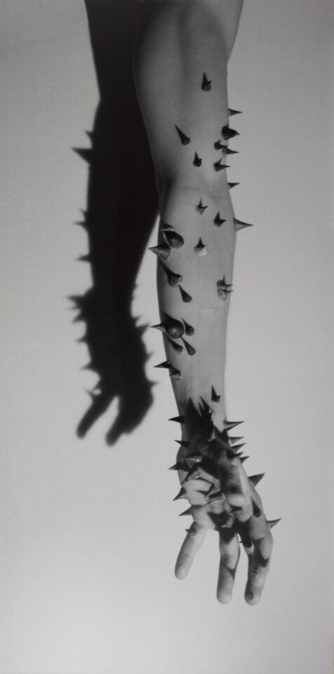 Comunitat, Art i VIH/Sida MORTALS+