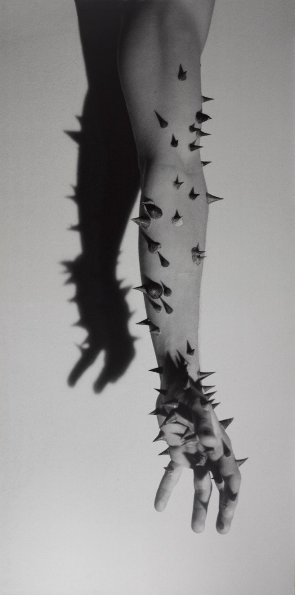 Comunitat, Art i VIH/Sida MORTALS+