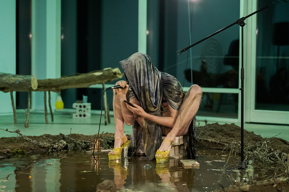 Venus Jasper. Weeping Swamp