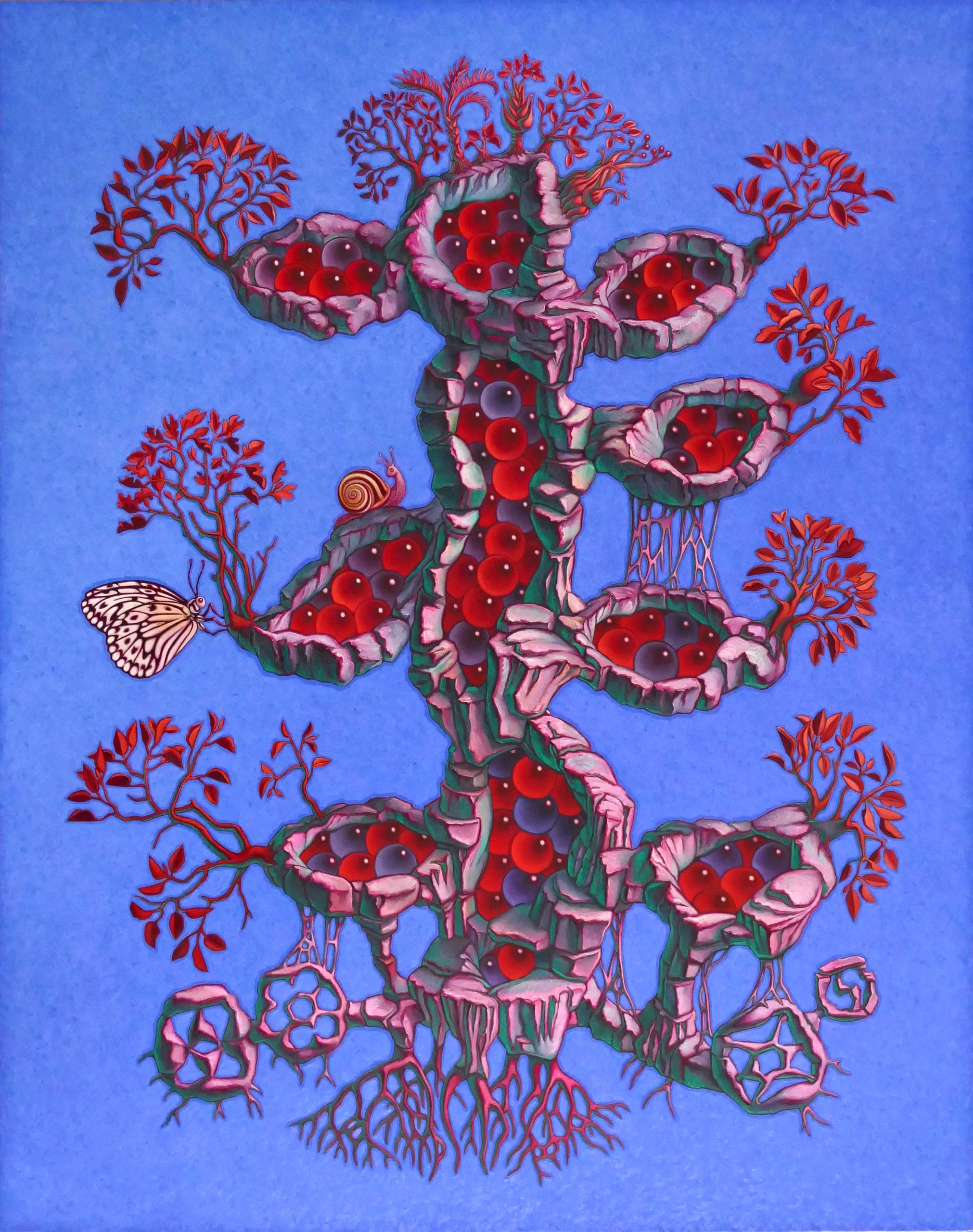 Liber Naturae. Carlos Forns