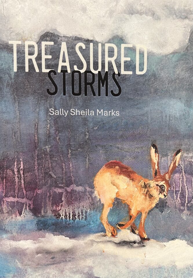 Conversa amb Sally Sheila Marks