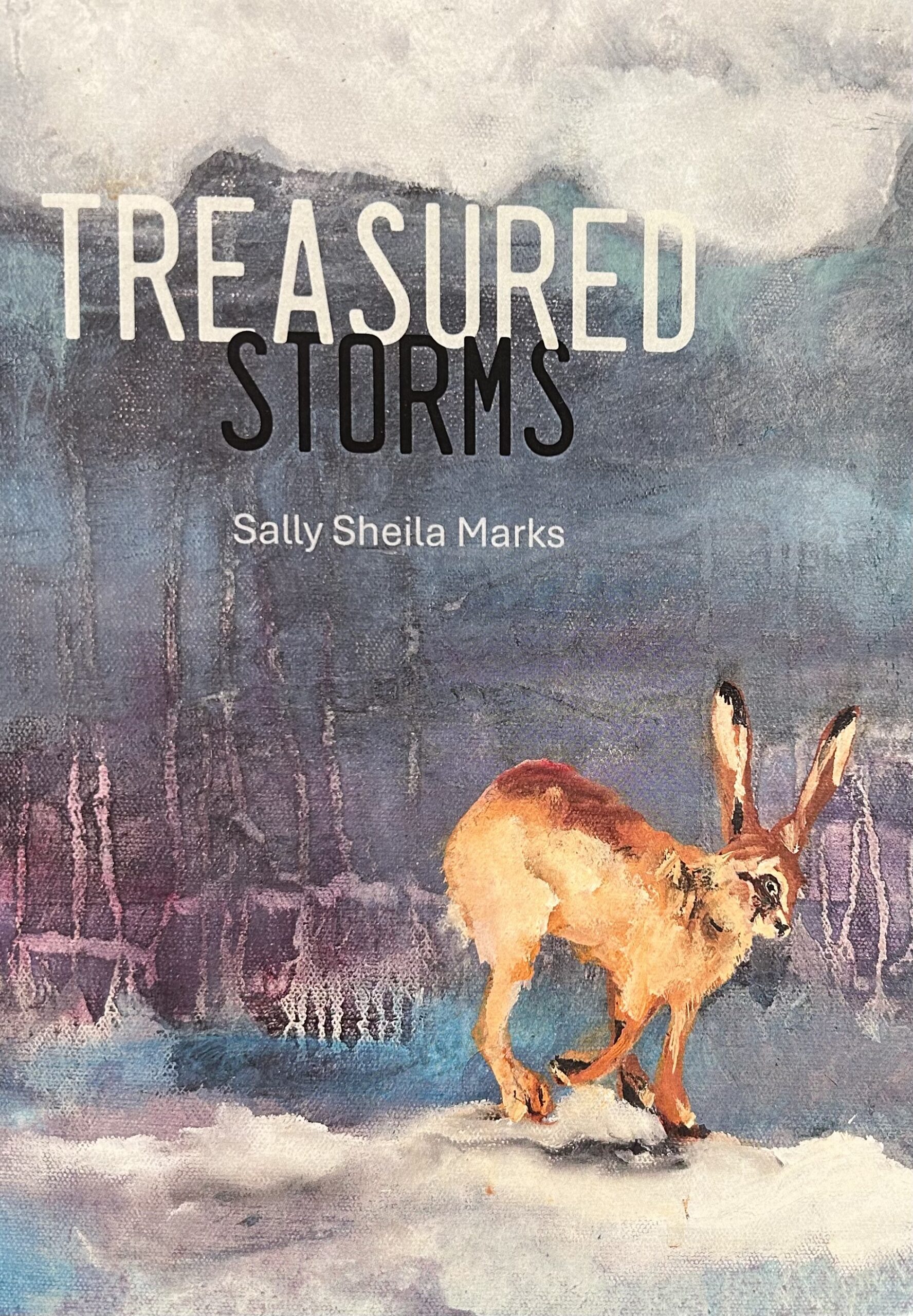 Conversation with Sally Sheila Marks