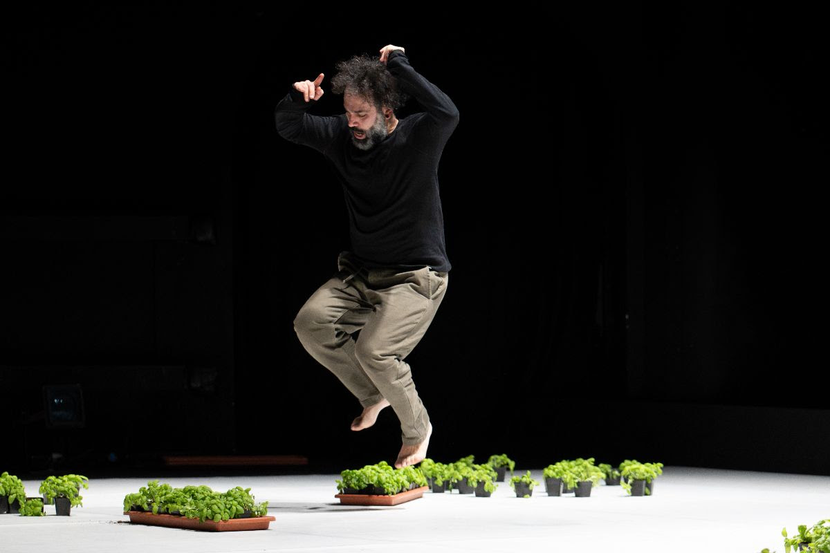 Hacer Historia(s) VI: Dance is not for Us. Omar Rajeh