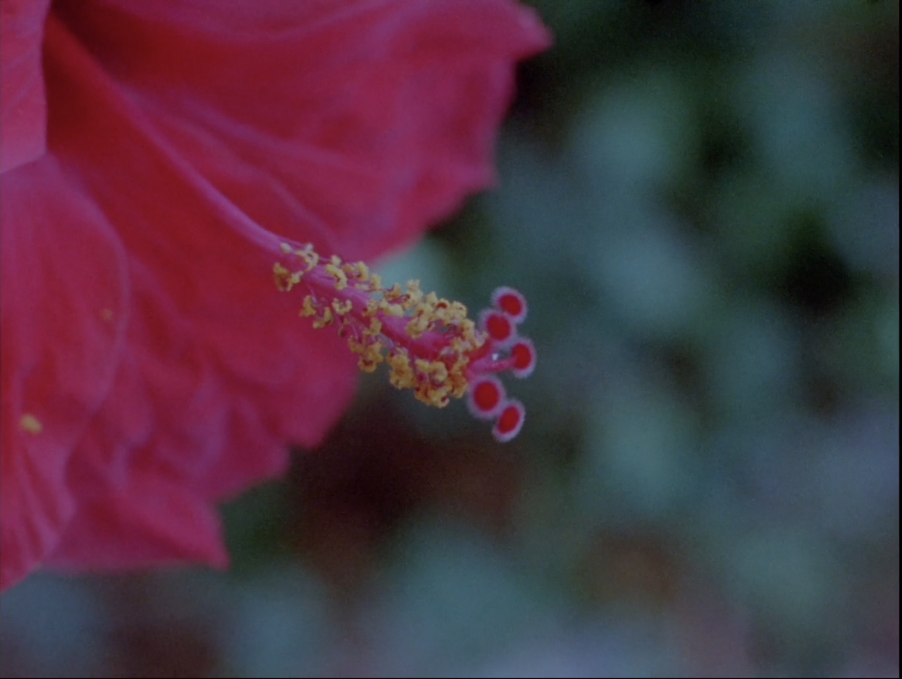 no termina de aorillarse. Valentina Alvarado Matos