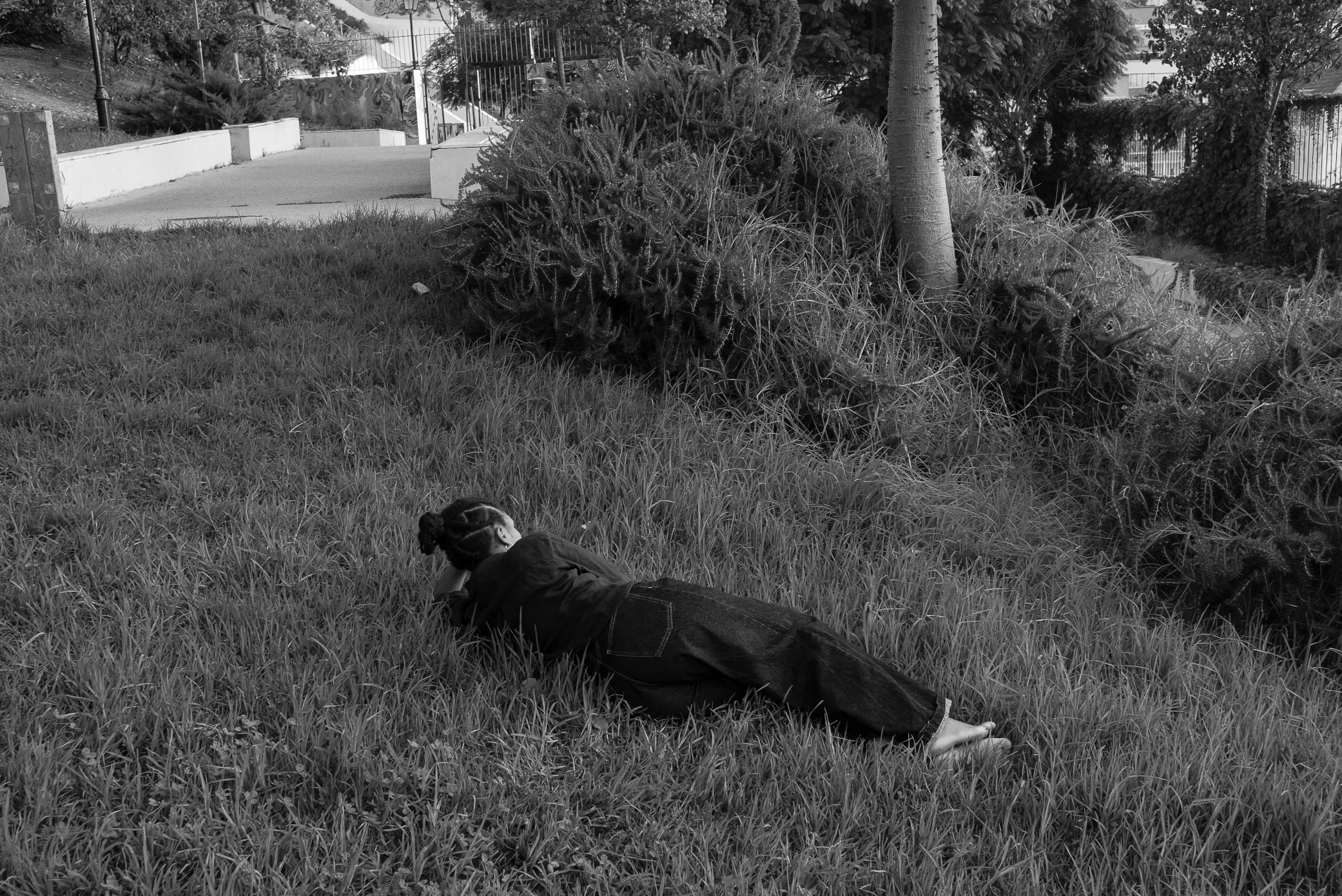 Perfect Conditions to Flourish – Carla Rebelo