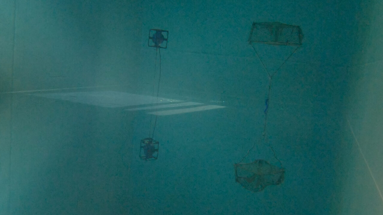 Paisatge dins la mar