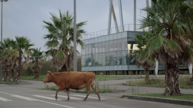 City Screen: ruta per espais de Barcelona